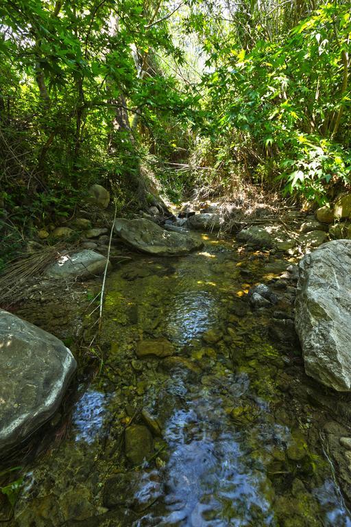 Aparthotel Aspros Potamos Makrýgialos Esterno foto