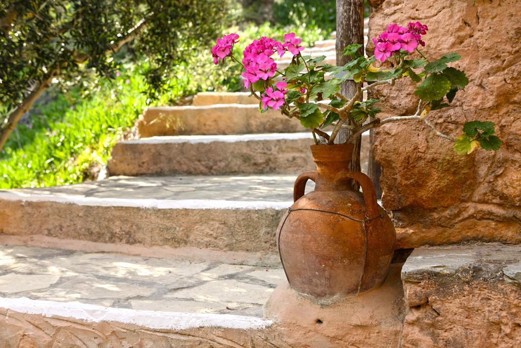 Aparthotel Aspros Potamos Makrýgialos Esterno foto