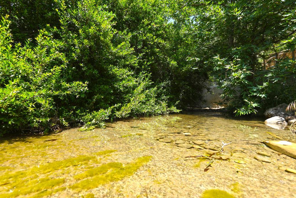 Aparthotel Aspros Potamos Makrýgialos Esterno foto