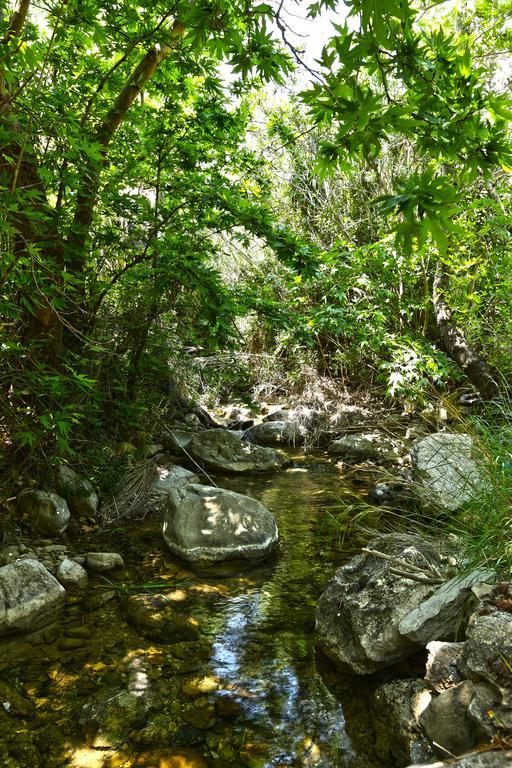 Aparthotel Aspros Potamos Makrýgialos Esterno foto